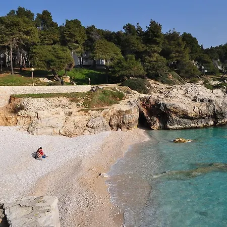 Apartment Drenovica Pula