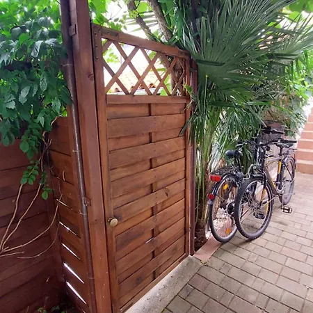 Drenovica * بولا