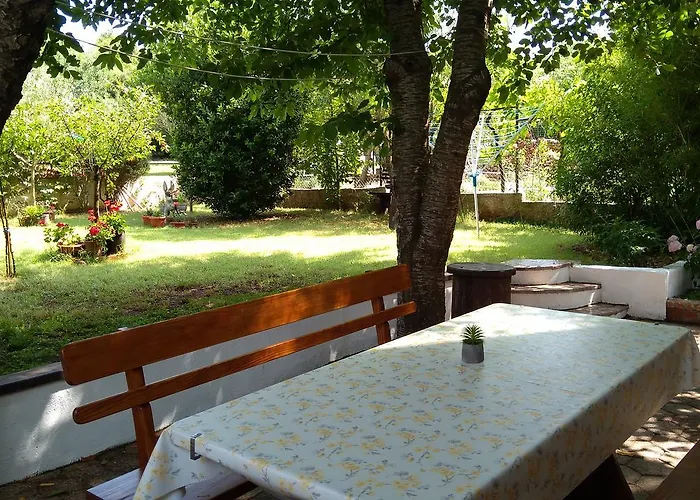 Drenovica