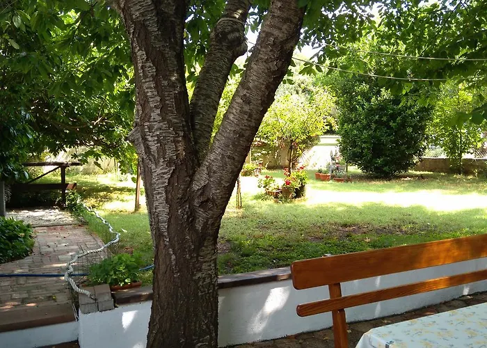 Drenovica Apartamento *