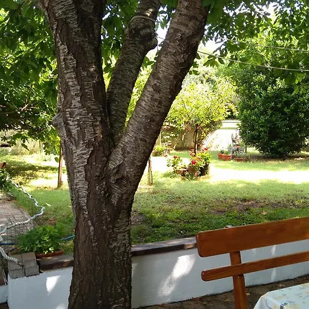 Drenovica Apartament *